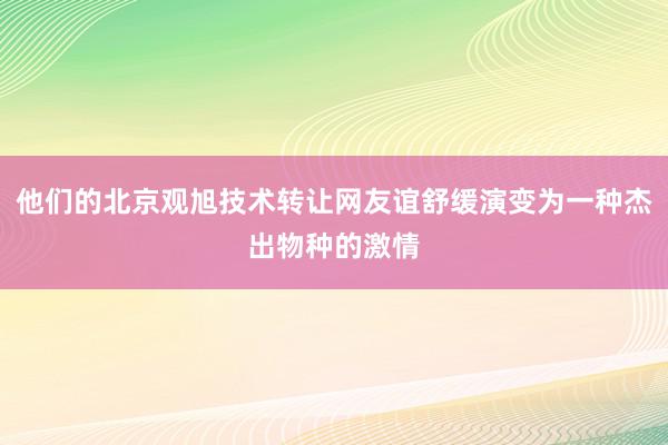 他们的北京观旭技术转让网友谊舒缓演变为一种杰出物种的激情