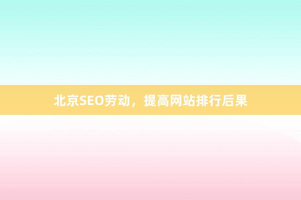 北京SEO劳动，提高网站排行后果