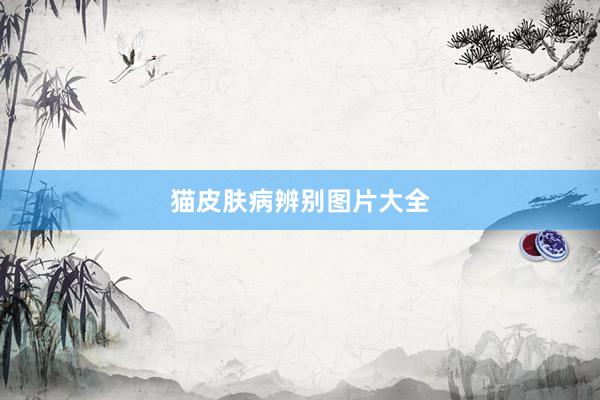猫皮肤病辨别图片大全