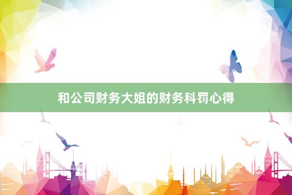 和公司财务大姐的财务科罚心得